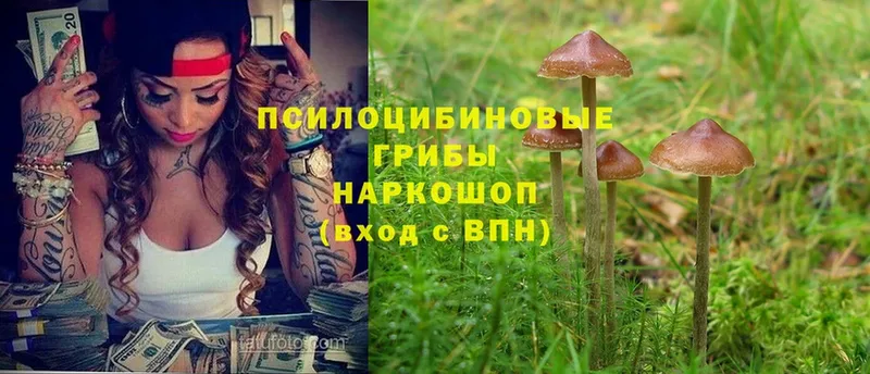 Галлюциногенные грибы мухоморы  Красноярск 